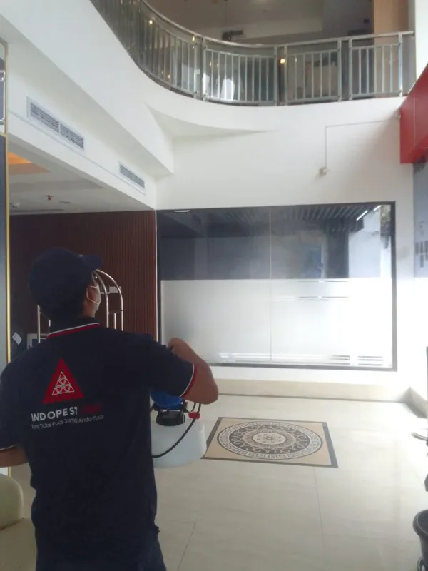 Pest Control Depok