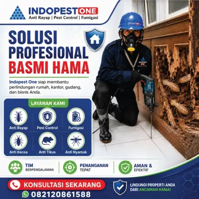 Jasa Anti Rayap Tangerang
